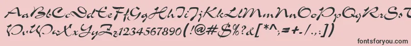 TolkenRegular Font – Black Fonts on Pink Background