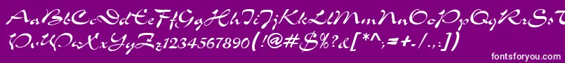 TolkenRegular Font – White Fonts on Purple Background