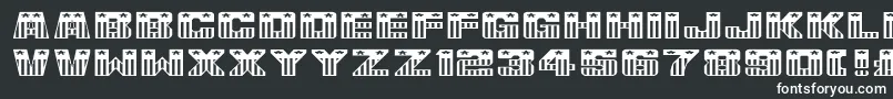 UsaFlagNormala Font – White Fonts on Black Background