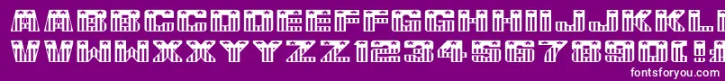UsaFlagNormala Font – White Fonts on Purple Background