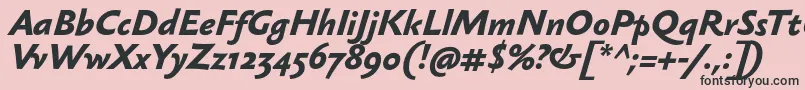SebastianmediumBolditalic Font – Black Fonts on Pink Background