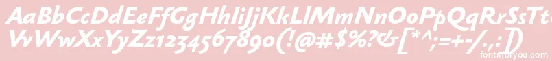 SebastianmediumBolditalic Font – White Fonts on Pink Background