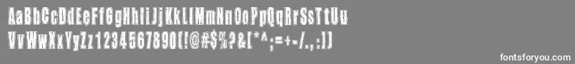 フォントTakapiru – 灰色の背景に白い文字