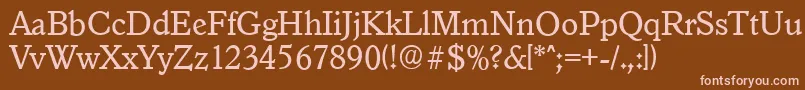 Police GranadaserialRegular – polices roses sur fond brun