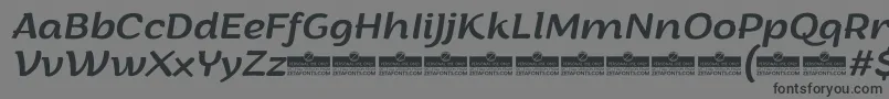 Czcionka ArturoItalicTrial – czarne czcionki na szarym tle