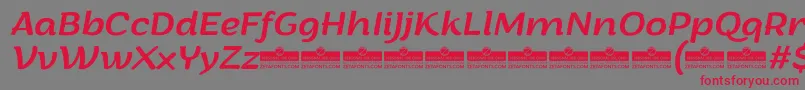 ArturoItalicTrial Font – Red Fonts on Gray Background
