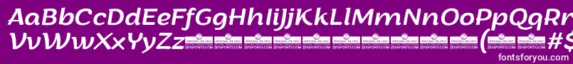 ArturoItalicTrial Font – White Fonts on Purple Background
