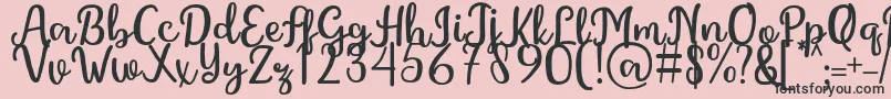 GintaFont Font – Black Fonts on Pink Background