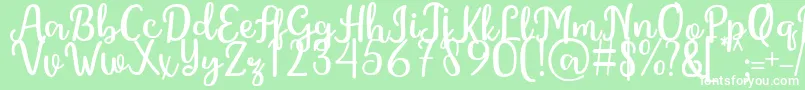 GintaFont Font – White Fonts on Green Background