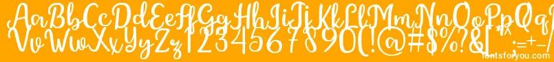 GintaFont Font – White Fonts on Orange Background