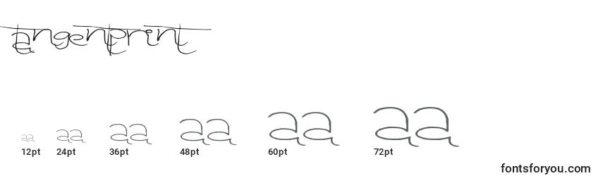 Größen der Schriftart Tangentprint