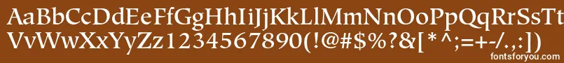 フォントHiroshigestdMedium – 茶色の背景に白い文字