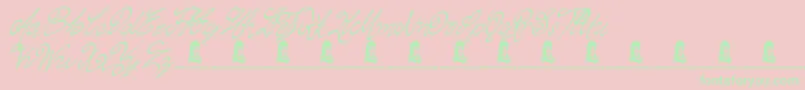 ChasingMagnolia Font – Green Fonts on Pink Background
