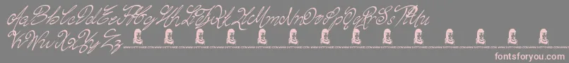 ChasingMagnolia Font – Pink Fonts on Gray Background