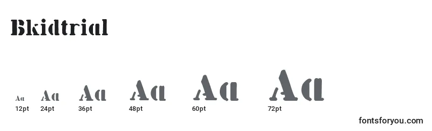 Bkidtrial Font Sizes
