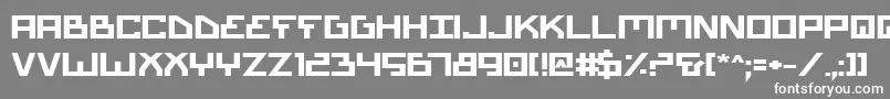 BionicTypeExpandedBold Font – White Fonts on Gray Background