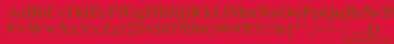 PetersburgBoldCyrillic Font – Brown Fonts on Red Background