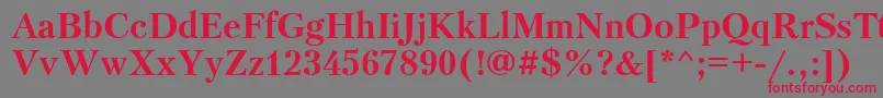 PetersburgBoldCyrillic Font – Red Fonts on Gray Background