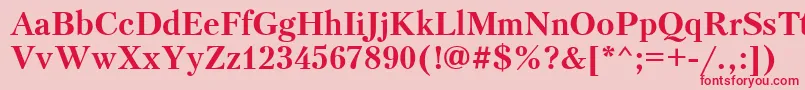 PetersburgBoldCyrillic Font – Red Fonts on Pink Background