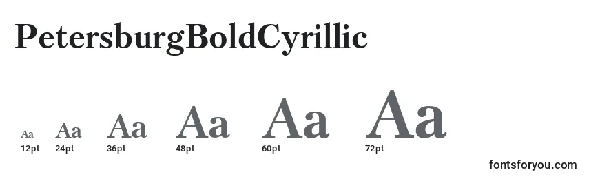 Размеры шрифта PetersburgBoldCyrillic