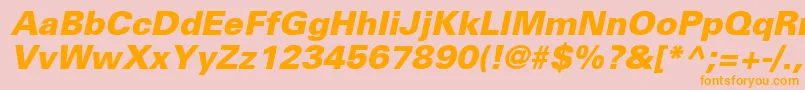 NovaBlackSsiExtraBoldItalic Font – Orange Fonts on Pink Background