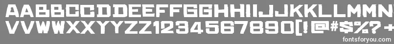 ChineserocksftRegular Font – White Fonts on Gray Background