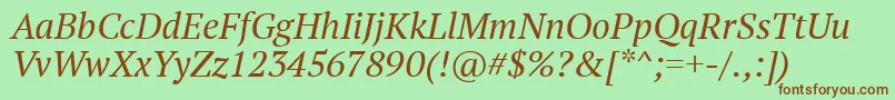 PtSerifItalic Font – Brown Fonts on Green Background