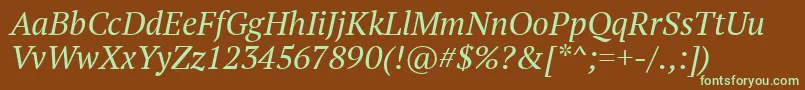 PtSerifItalic Font – Green Fonts on Brown Background