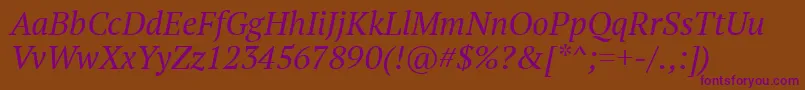 PtSerifItalic Font – Purple Fonts on Brown Background