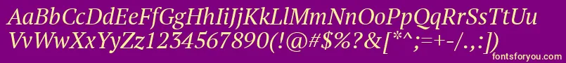 PtSerifItalic Font – Yellow Fonts on Purple Background