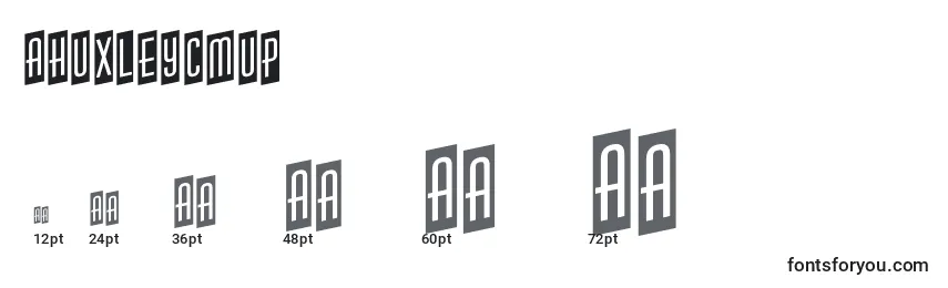 AHuxleycmup Font Sizes