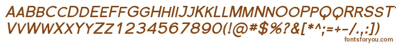 Florsn19 Font – Brown Fonts on White Background