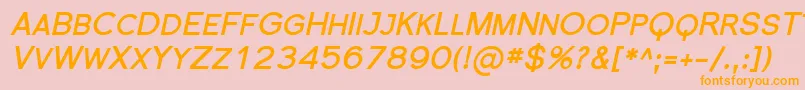 Florsn19 Font – Orange Fonts on Pink Background