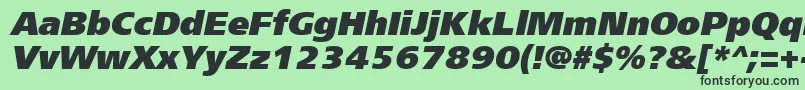 Frs96C Font – Black Fonts on Green Background