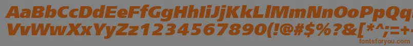Frs96C Font – Brown Fonts on Gray Background