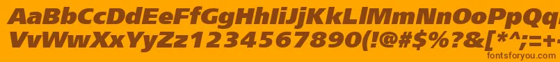 Frs96C Font – Brown Fonts on Orange Background