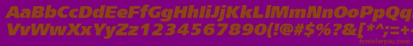 Frs96C-fontti – ruskeat fontit violetilla taustalla