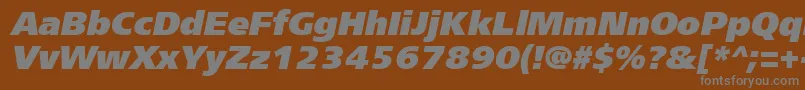 Frs96C-fontti – harmaat kirjasimet ruskealla taustalla