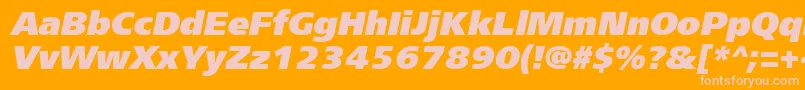 Frs96C Font – Pink Fonts on Orange Background