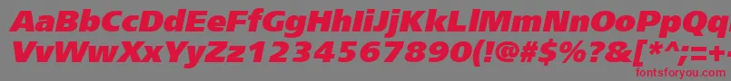 フォントFrs96C – 赤い文字の灰色の背景