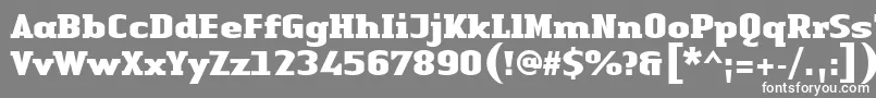 LinotypeAuthenticSerifBlack Font – White Fonts on Gray Background