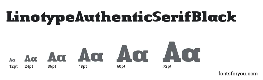 LinotypeAuthenticSerifBlack Font Sizes