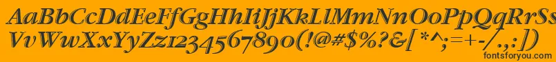 GaramondHtldOsItcTtItalic Font – Black Fonts on Orange Background