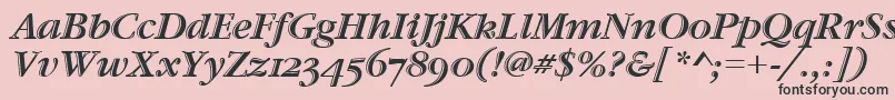 GaramondHtldOsItcTtItalic Font – Black Fonts on Pink Background