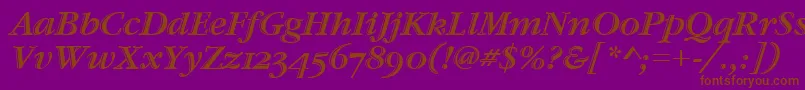 GaramondHtldOsItcTtItalic Font – Brown Fonts on Purple Background