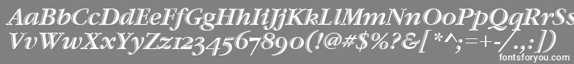 フォントGaramondHtldOsItcTtItalic – 灰色の背景に白い文字