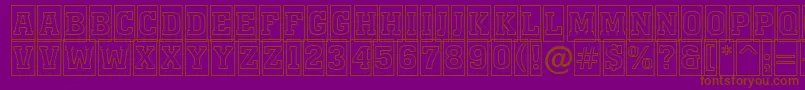 AMonumentottlcmotl Font – Brown Fonts on Purple Background