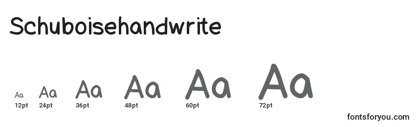 Размеры шрифта Schuboisehandwrite