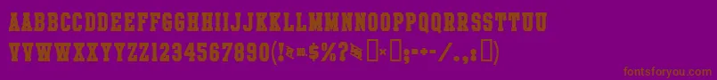IntramuralBoldJl Font – Brown Fonts on Purple Background