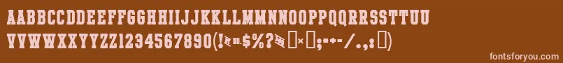 IntramuralBoldJl Font – Pink Fonts on Brown Background